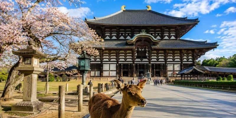 Yaponiya 2027 üçün beş bölgəni turistlərə tövsiyə edib